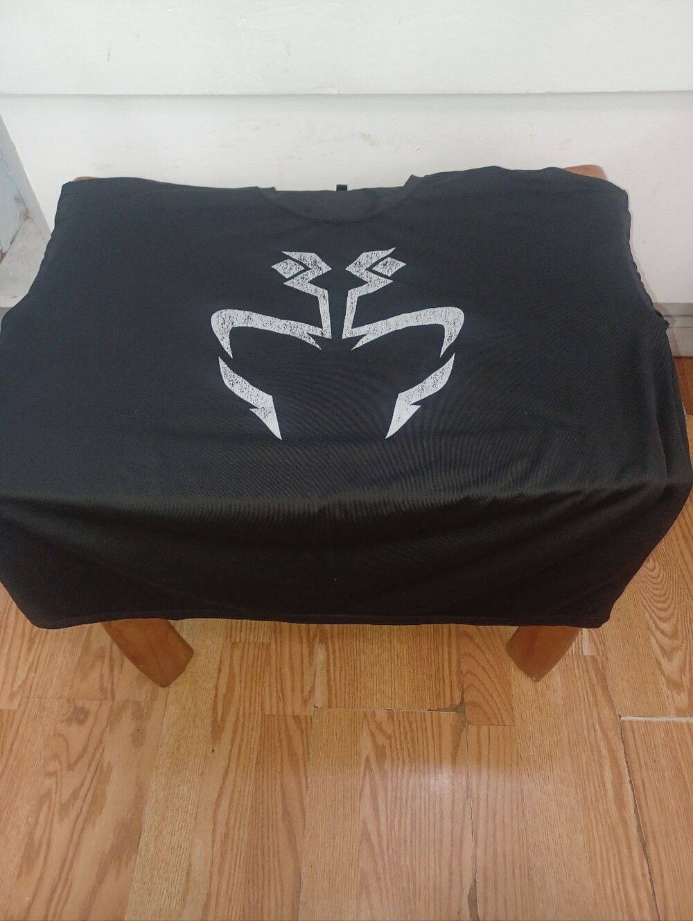 Mens Graphic Tshirt